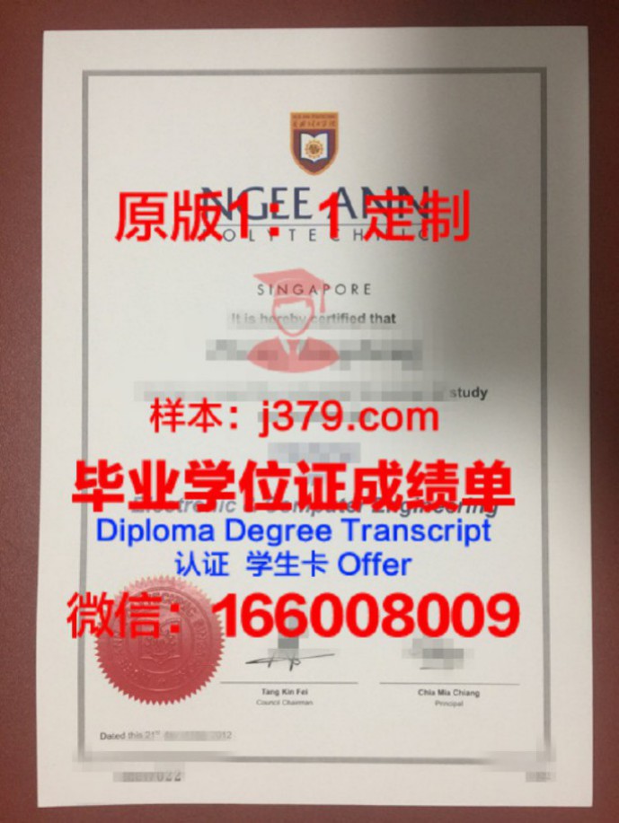 新加坡义安理工学院毕业证 Ngee Ann Polytechnic diploma