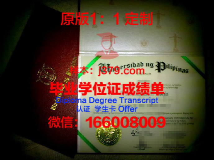 菲律宾大学毕业证翻译怎么样(菲律宾语专业大学排名)