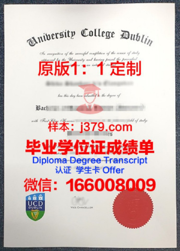 都柏林城市大学毕业证 Dublin City University diploma