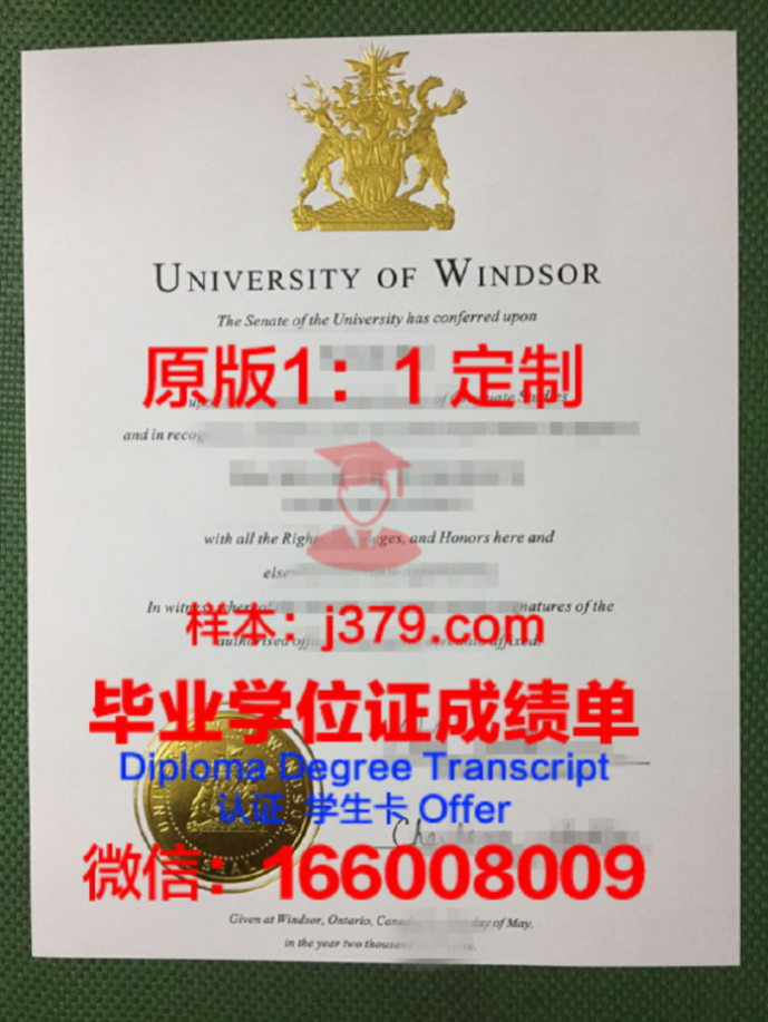 温莎大学毕业证 University of Windsor diploma