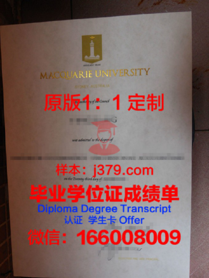 麦考瑞大学毕业证 Macquarie University diploma