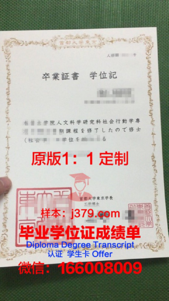 东京都立大学学位成绩单定制：揭秘背后的真相与风险