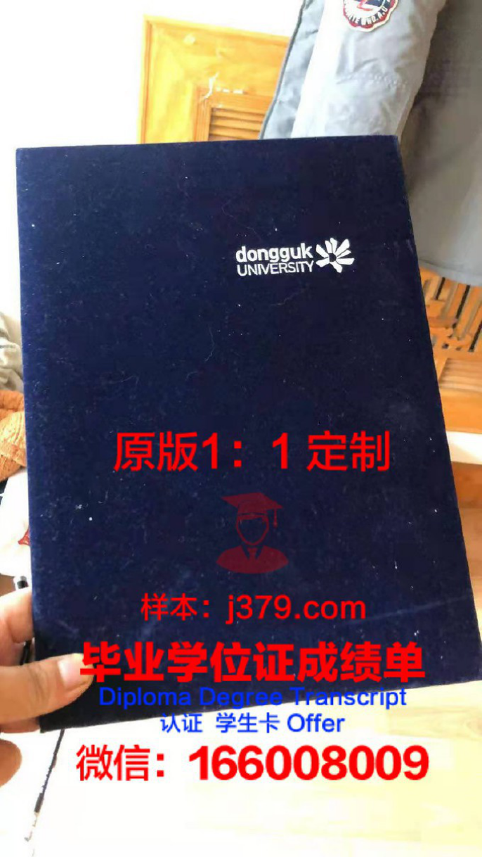 东国学位成绩单定制——打造个性化学习成果展示