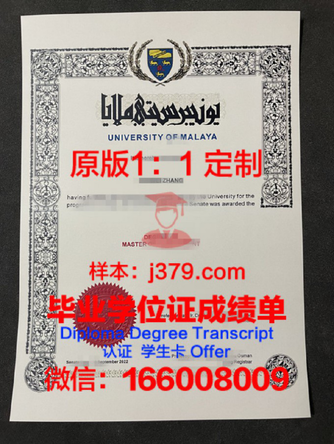 不来梅大学毕业证学位文凭学历Diploma