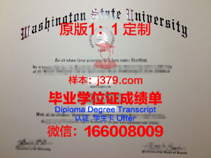 凤凰城大学西华盛顿校园毕业证图片University of Phoenix-Western Washington Campus Diploma