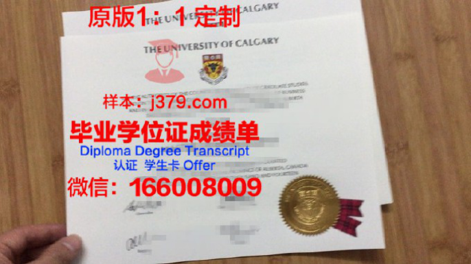 艾米丽卡尔艺术与设计学院毕业证图片Emily Carr Institute of Art and Design Diploma