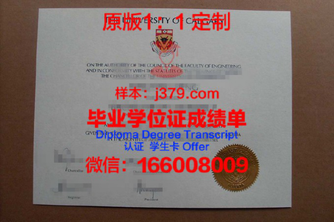 艾米丽卡尔艺术与设计大学毕业证学位文凭学历Diploma