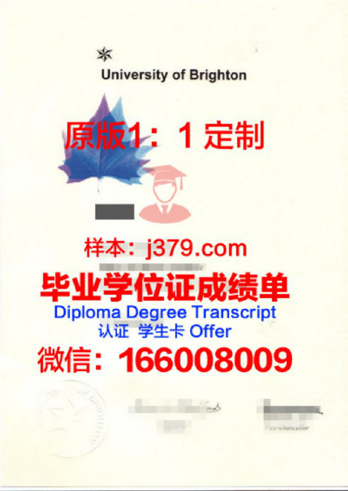 布莱顿大学毕业证图片University of Brighton Diploma