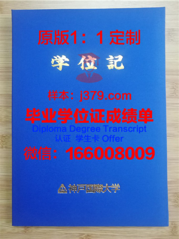 国际大学“国际劳动与社会关系学院”录取通知书 OFFER 定制：开启全球视野，培养未来领袖