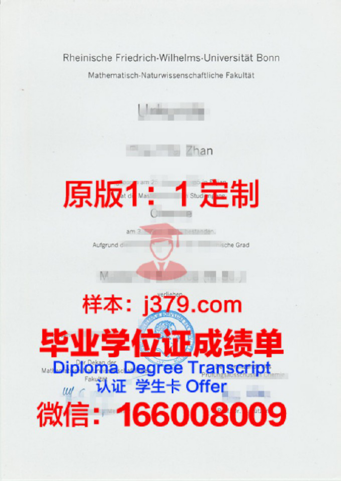 德国商业与信息技术大学毕业证学位文凭学历Diploma