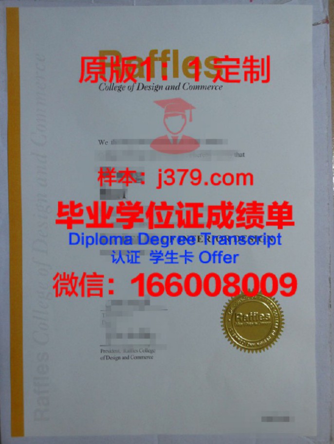 新加坡莱佛士音乐学院毕业证 Singapore Raffles Music College diploma