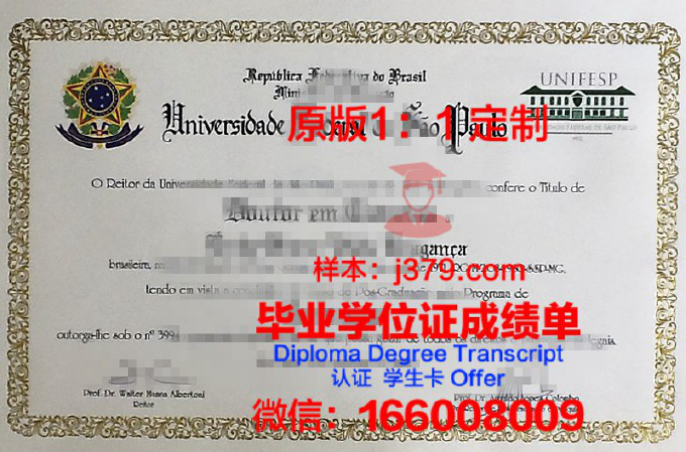 伊塔贾伊河谷大学录取通知书OFFER定制，开启您的巴西留学之旅