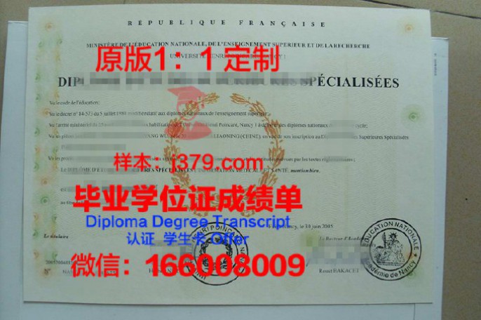 法国视觉传媒学院毕业证图片ECV Diploma