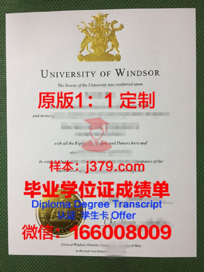 温莎大学毕业证 University of Windsor diploma