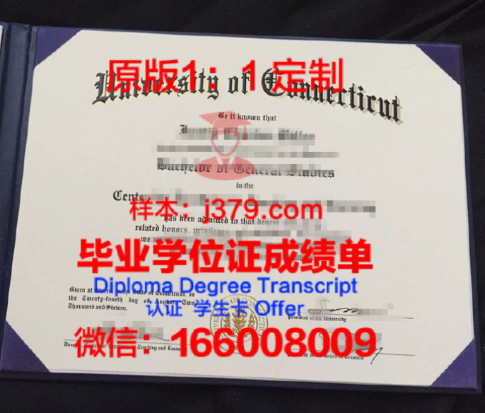 康涅狄格大学 diploma 毕业证