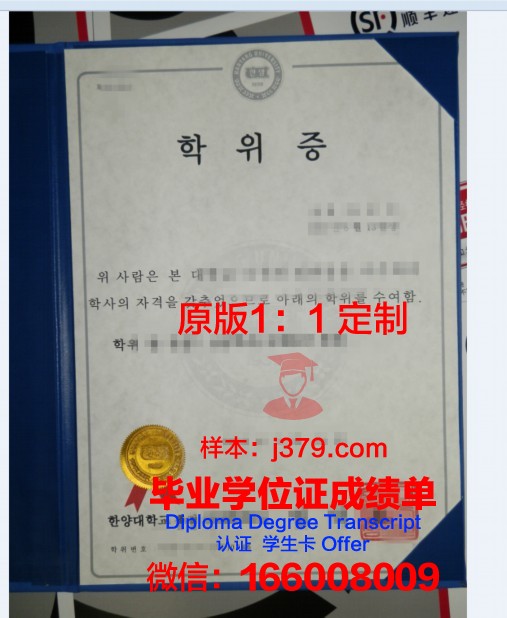 纽约电影学院博士学位证:电影艺术领域的 golden ticket