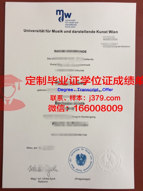 维也纳医科大学毕业文凭