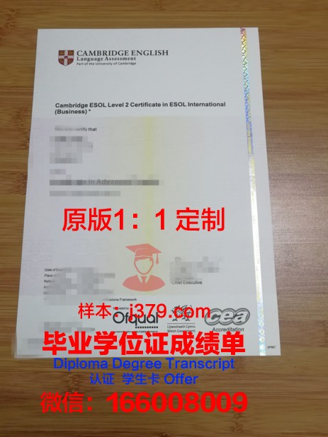 锡比乌大学diploma证书(锡比乌在哪个国家)