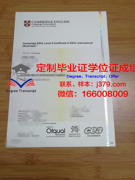 安纳马莱大学diploma证书