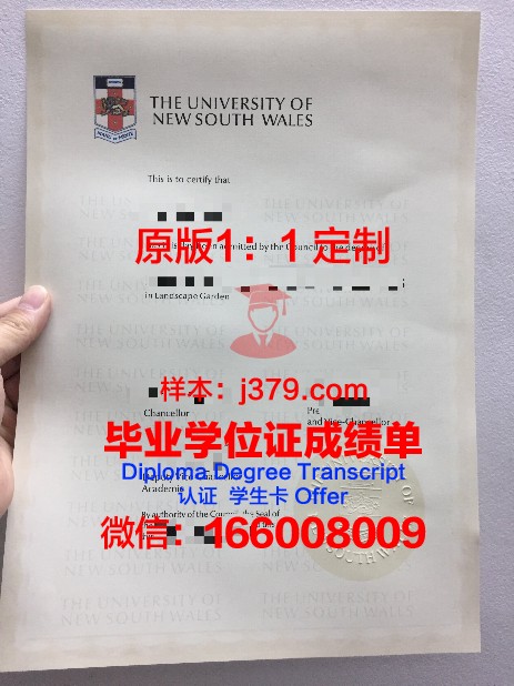 维班克学院毕业证Diploma文凭