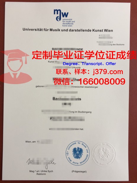 维也纳经济大学本科毕业证(维也纳大学本科申请)