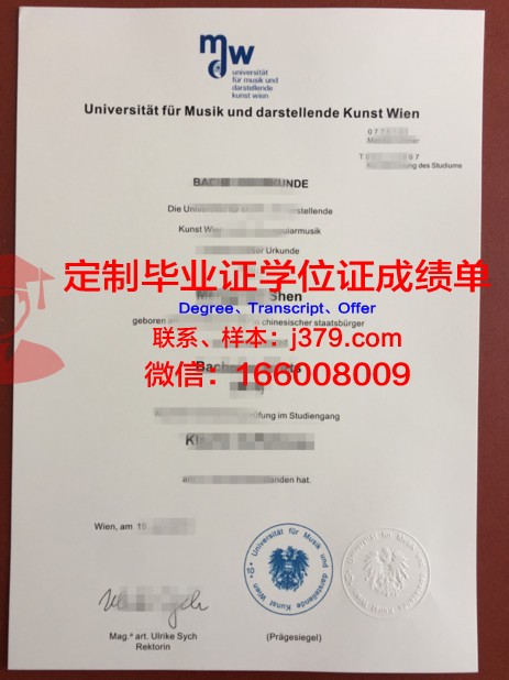 维也纳模都尔大学毕业文凭