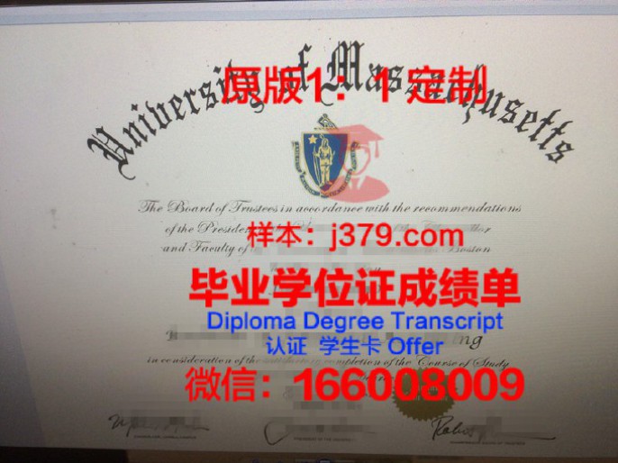 马萨诸塞大学波士顿分校 diploma 毕业证