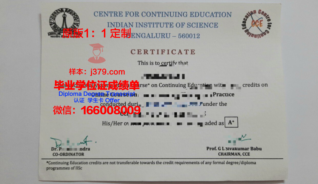 昂热高等商业科学学院diploma证书(昂热大学怎么样)