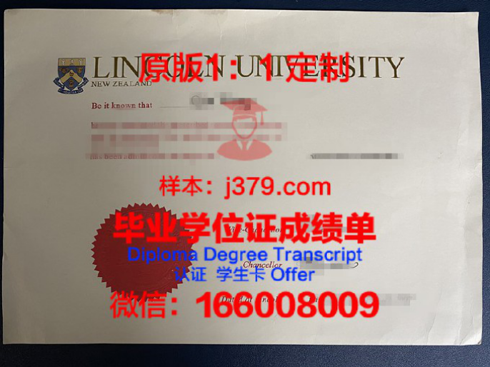 新西兰商业理工学院 diploma 毕业证