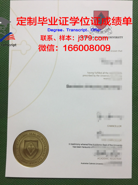 里约热内卢天主教大学硕士毕业证:一份国际认可的学术荣誉