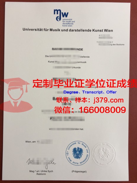 维也纳技术大学文凭(维也纳大学有什么专业)