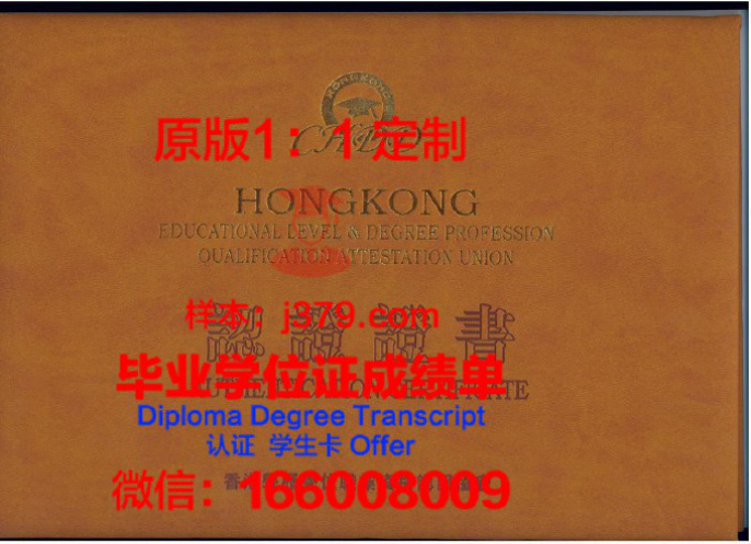 ESUMER大学学院diploma证书(diplomabachelormaster)