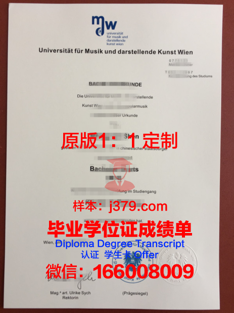 维也纳大学博士毕业证书(维也纳工业大学博士申请)