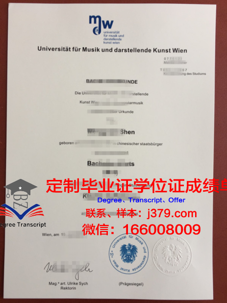 维也纳技术大学毕业证等级(维也纳技术大学毕业证等级怎么填)