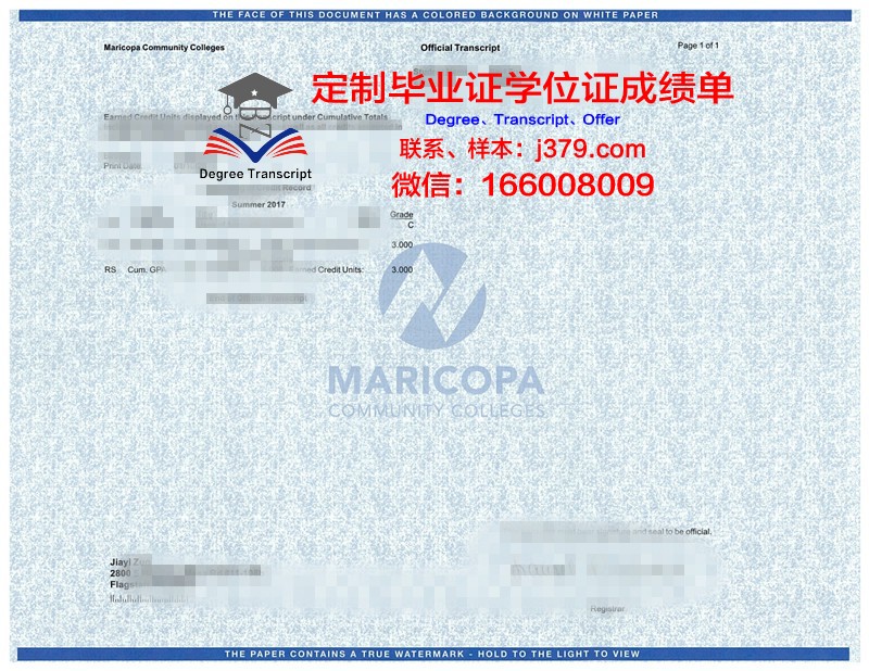 金城学院大学学位成绩单定制:打造个性化教育新篇章