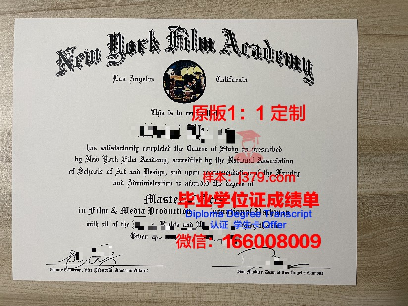 纽约视觉艺术学院毕业证认证成绩单Diploma