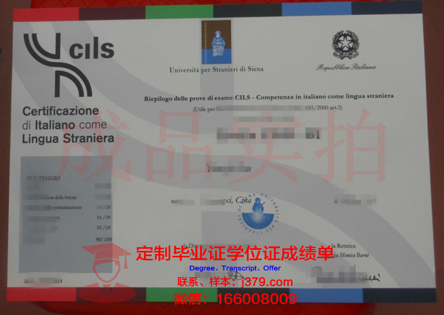 锡耶纳外国人大学本科毕业证:跨越国界的学术荣耀