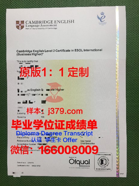 锡比乌大学diploma证书(锡比乌在哪个国家)