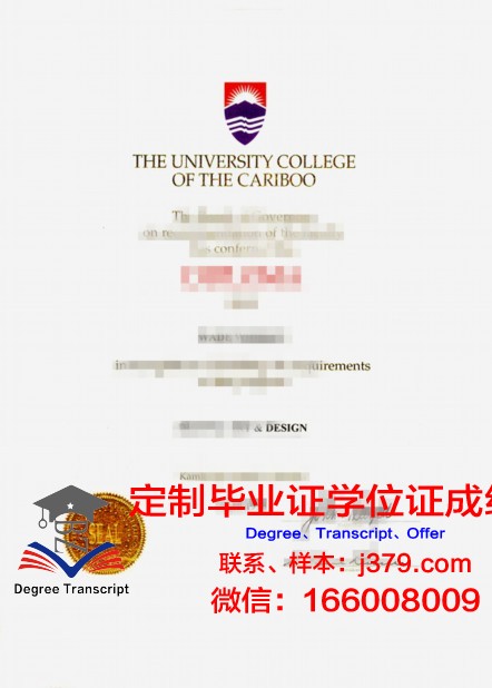 维罗纳大学毕业证书图片样本(维罗纳大学毕业证书图片样本大全)