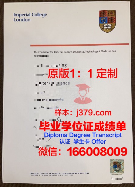 维塞乌理工学院学位证书