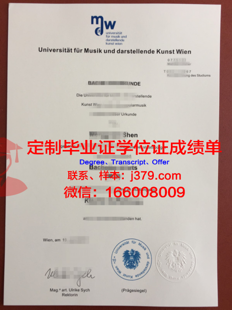 维也纳技术大学文凭(维也纳大学有什么专业)