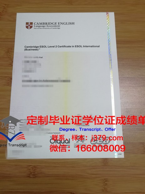 维特博大学研究生毕业证书(维特博大学研究生毕业证书图片)