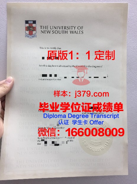 维思尼特神学院毕业证图片Yeshivath Viznitz Diploma