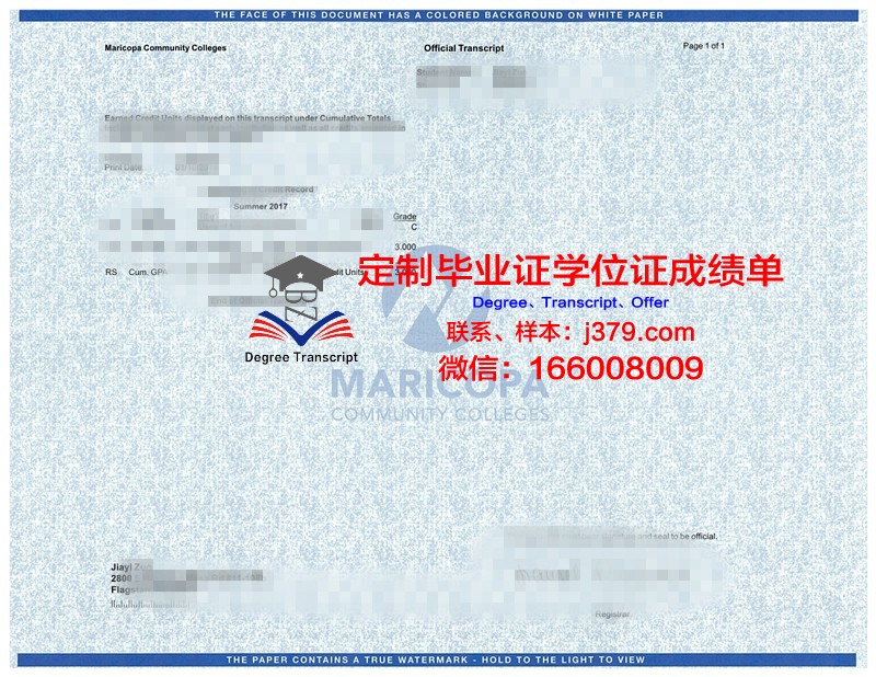 宫崎大学学位成绩单定制：探索学术诚信与合法权益的边界