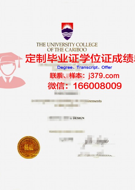 维斯瓦学院硕士毕业证书样本(维斯瓦大学)