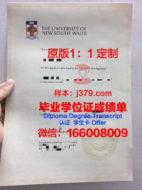 安斯巴赫应用技术大学毕业证图片(安斯巴赫天气)