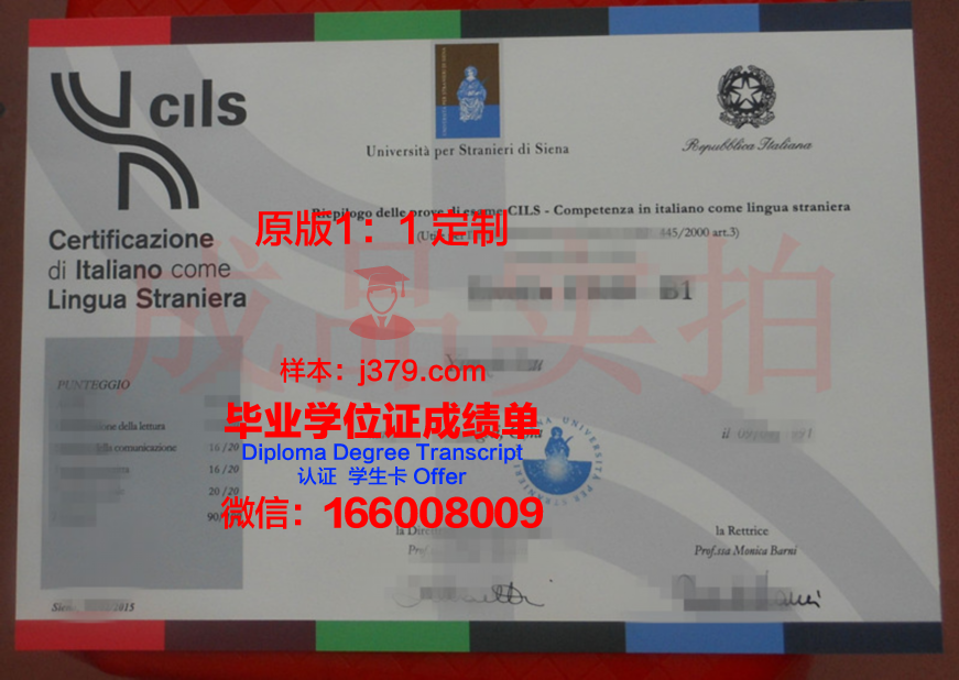 锡耶纳大学成绩单:一份承载荣誉与梦想的纸笔传奇