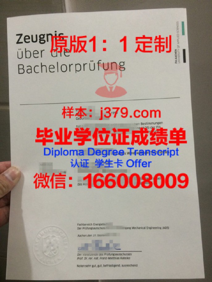 Goethe大成绩单：探索德国文学巨匠的智慧结晶