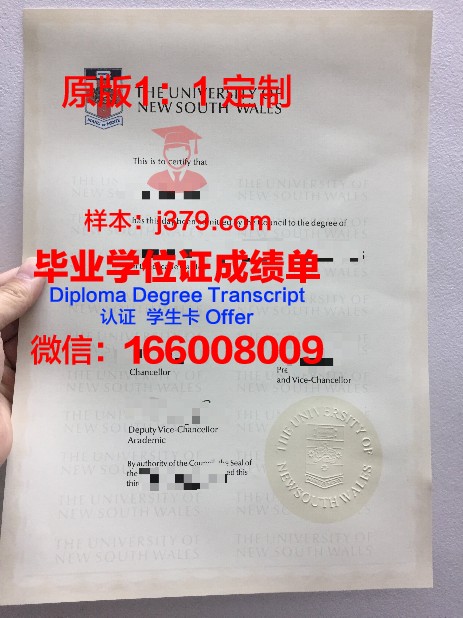 维尔瓦大学毕业证书原件(韦尔瓦大学怎么样)