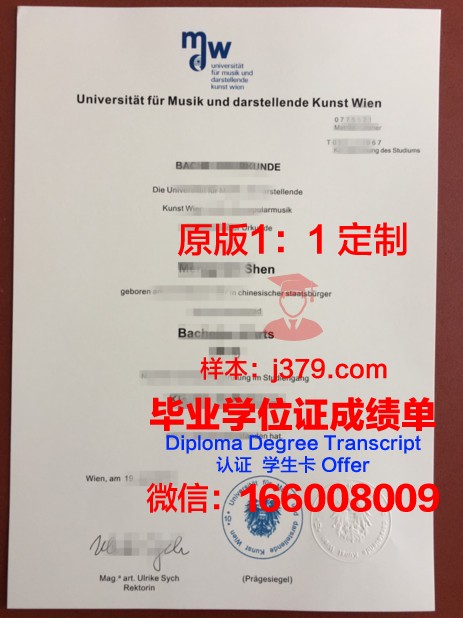 维也纳技术大学毕业证等级(维也纳技术大学毕业证等级怎么填)